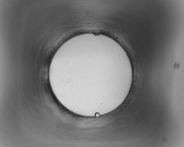 X0000112730021200909171138