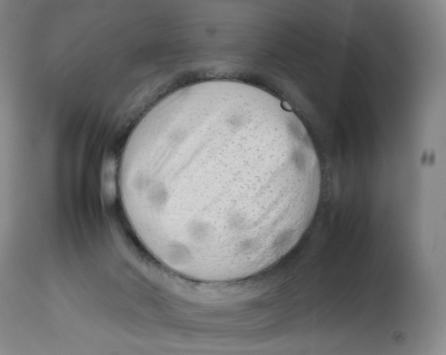 X0000112730022200909171138
