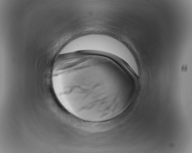 X0000112730023200909171138