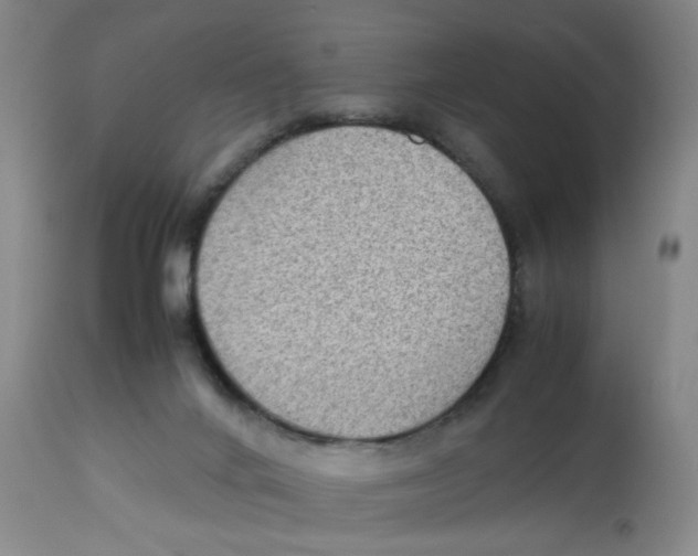X0000112730024200909171138