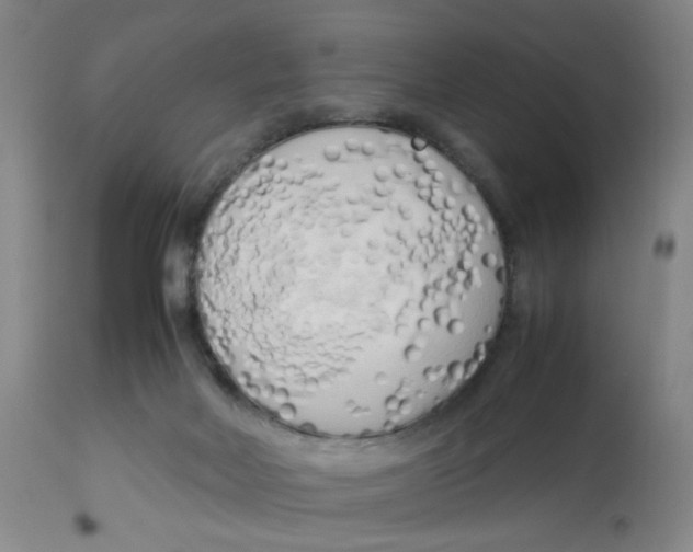 X0000112730026200909171138