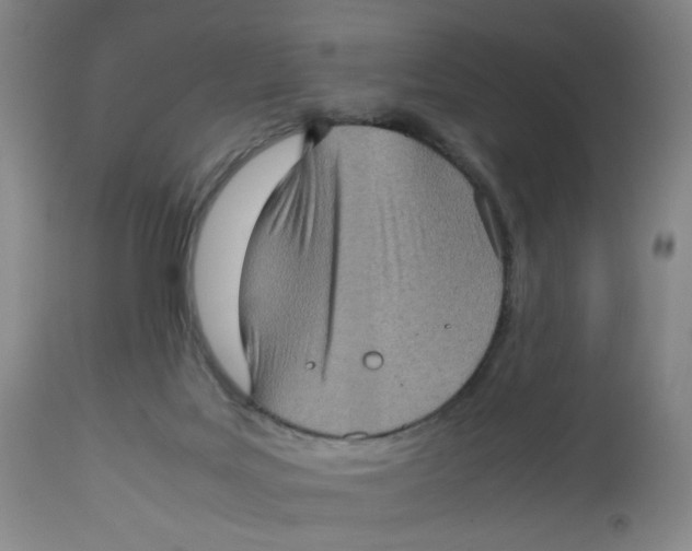 X0000112730027200909171138