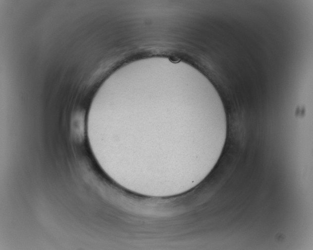 X0000112730028200909171138