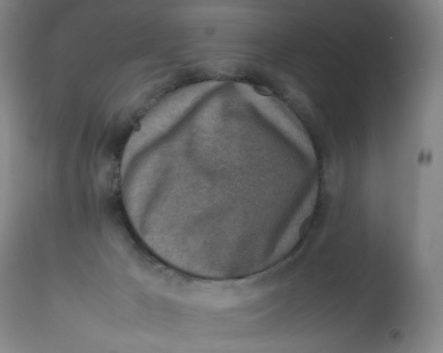 X0000112730029200909171137