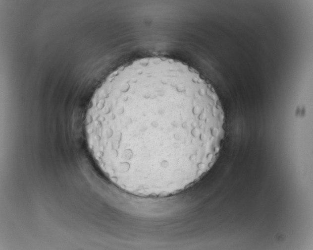 X0000112730030200909171137