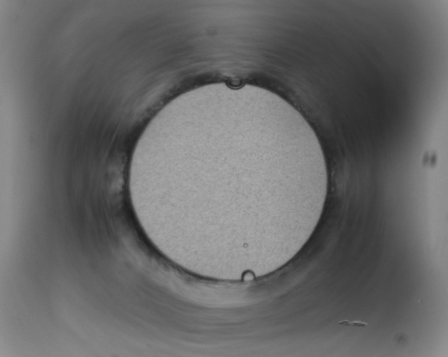 X0000112730032200909171137