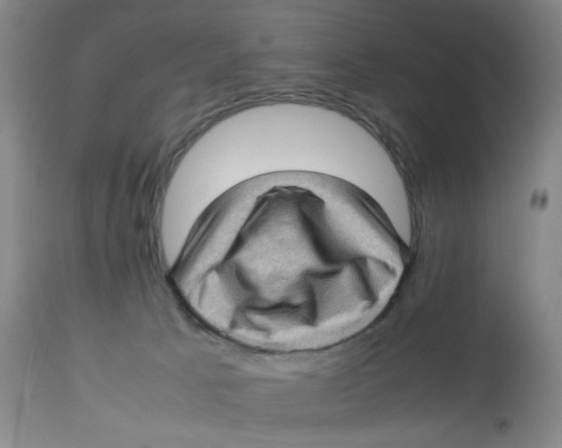 X0000112730033200909171137