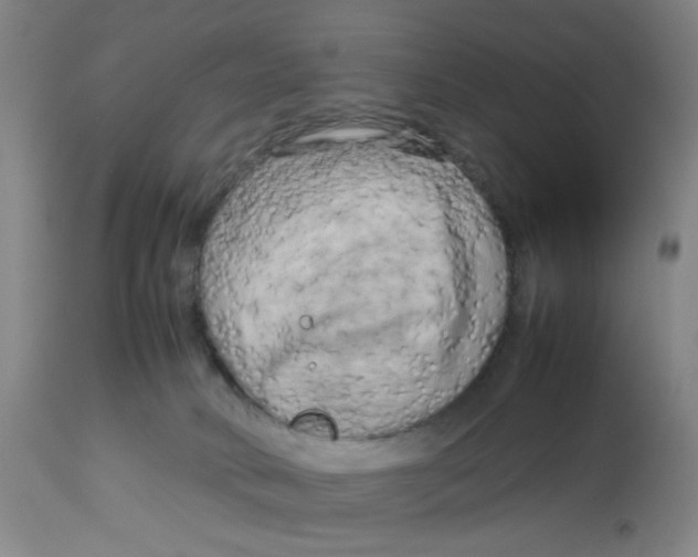 X0000112730034200909171137
