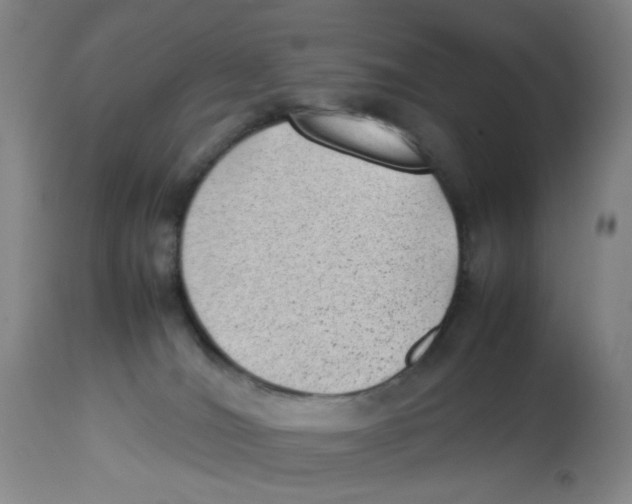 X0000112730036200909171137