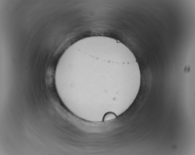 X0000112730038200909171137