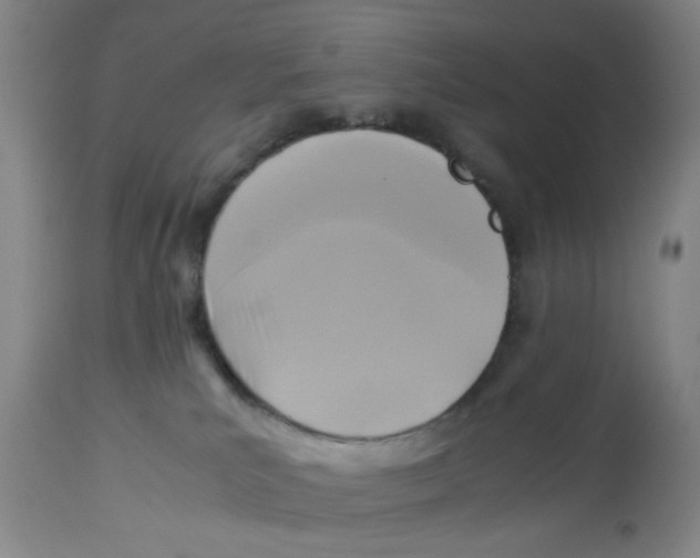 X0000112730039200909171137