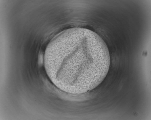 X0000112730042200909171137