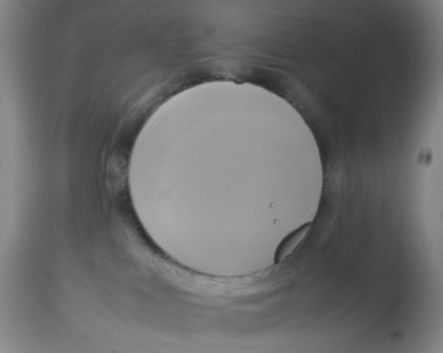X0000112730043200909171137