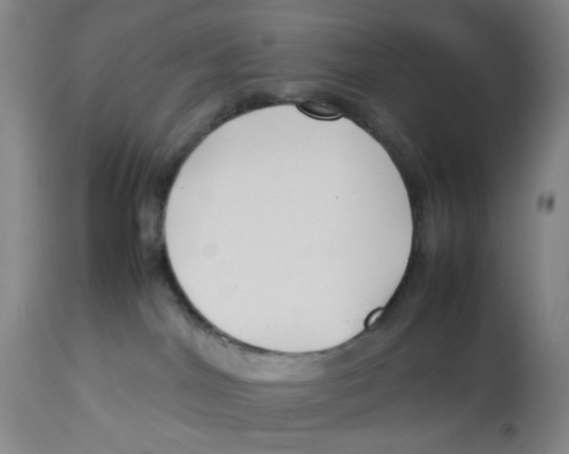 X0000112730044200909171137
