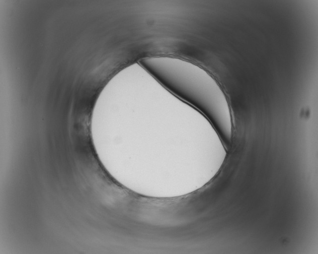 X0000112730045200909171137