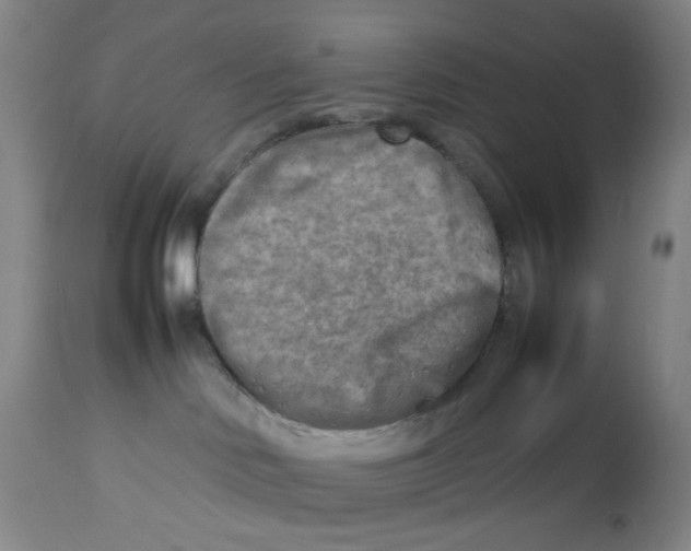 X0000112730046200909171137