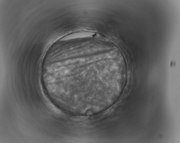 X0000112730049200909171137