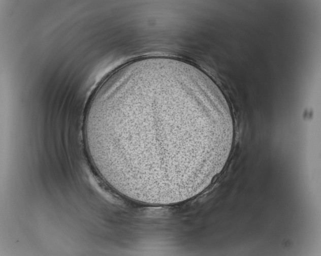 X0000112730050200909171137