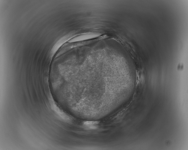 X0000112730051200909171137