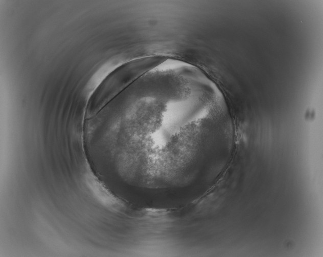 X0000112730052200909171137