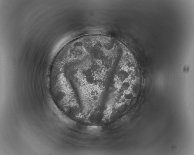 X0000112730053200909171137