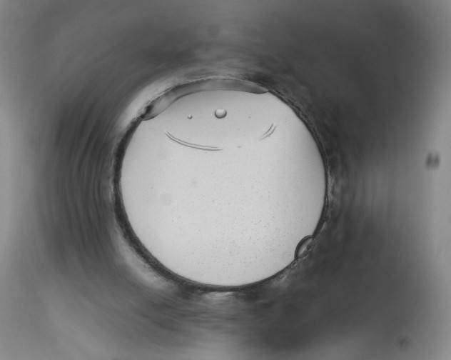 X0000112730054200909171137