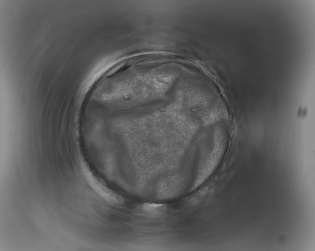 X0000112730055200909171137