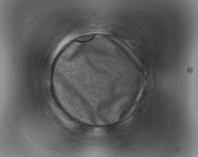 X0000112730056200909171137