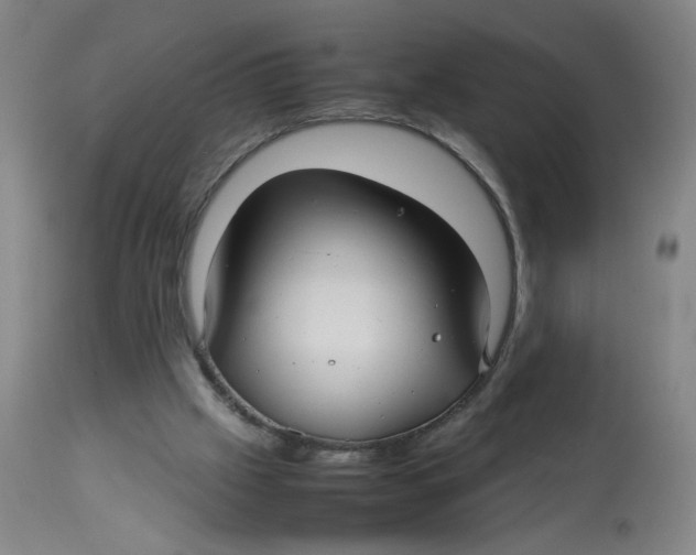 X0000112730057200909171137