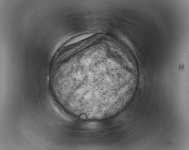 X0000112730059200909171137