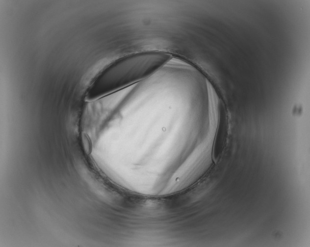 X0000112730060200909171137