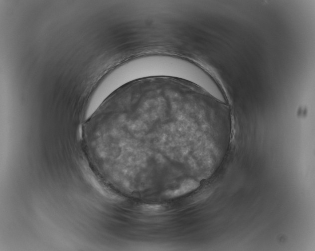 X0000112730061200909171137