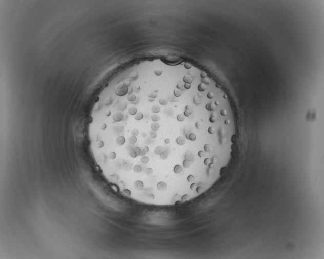 X0000112730063200909171137