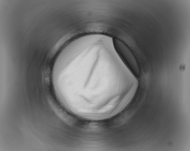 X0000112730064200909171137