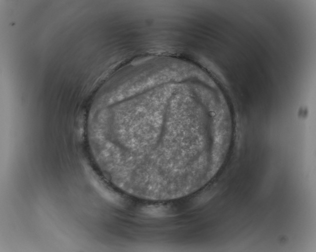 X0000112730065200909171137