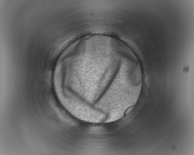 X0000112730066200909171137