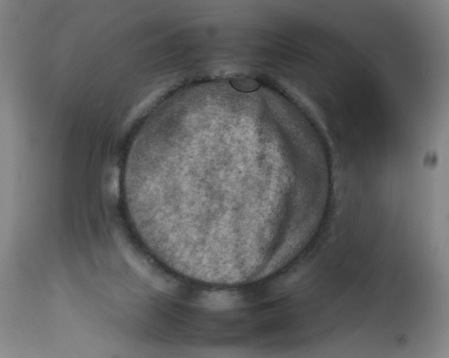 X0000112730067200909171137
