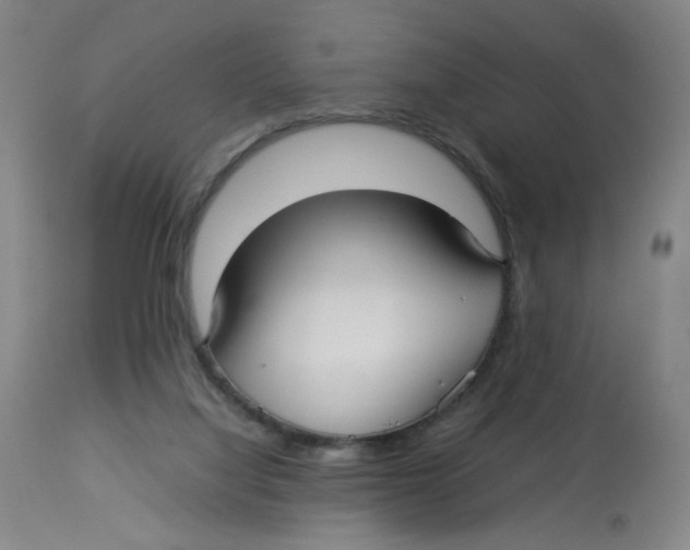X0000112730068200909171137