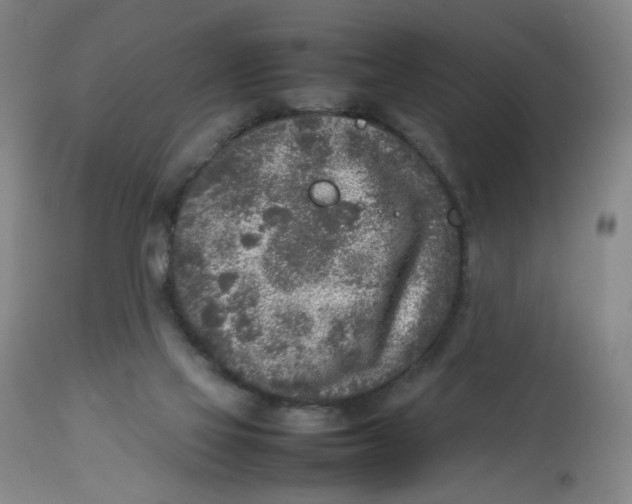 X0000112730069200909171137