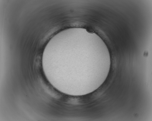 X0000112730071200909171137