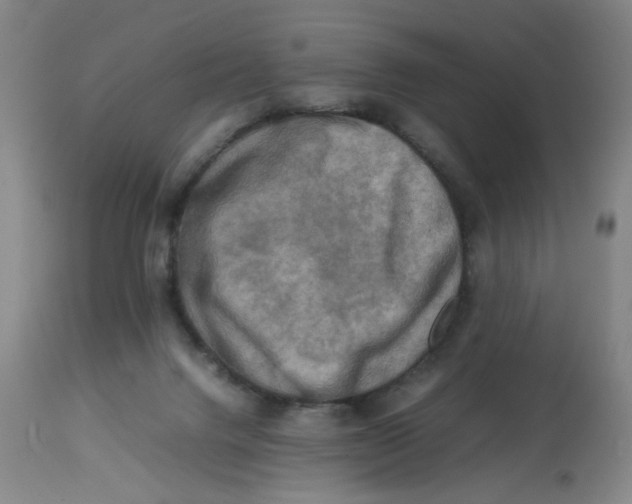 X0000112730072200909171137