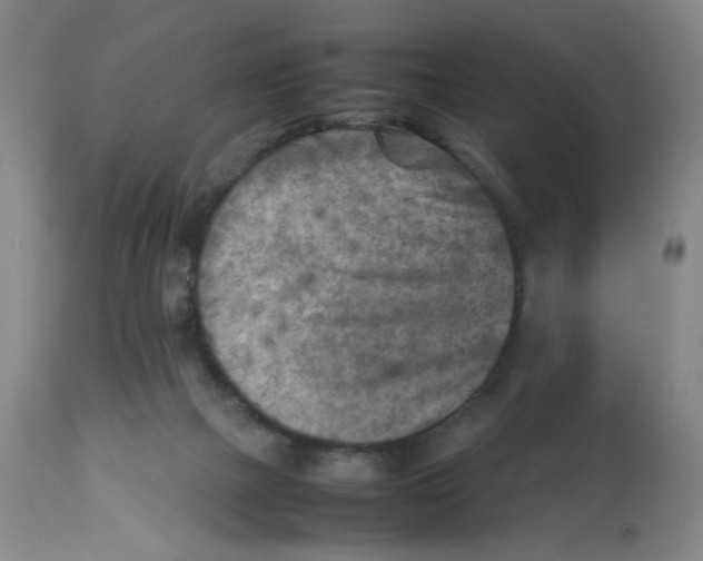 X0000112730073200909171137