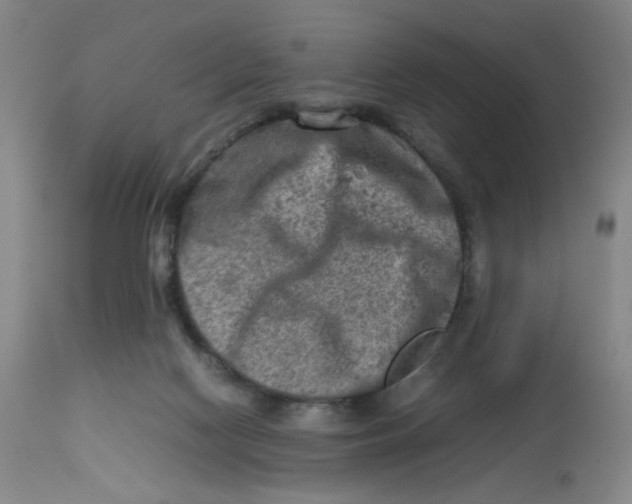 X0000112730074200909171137