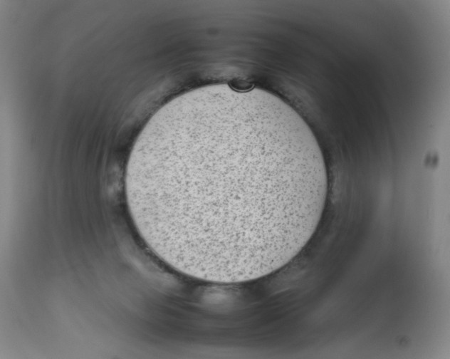 X0000112730077200909171137
