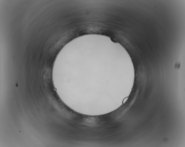 X0000112730079200909171137