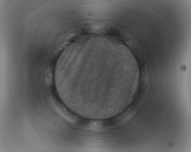 X0000112730080200909171137