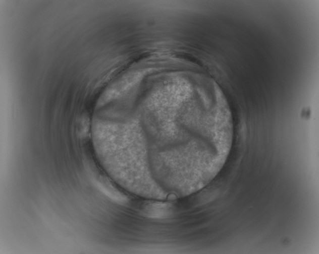 X0000112730081200909171137