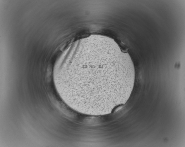 X0000112730082200909171137