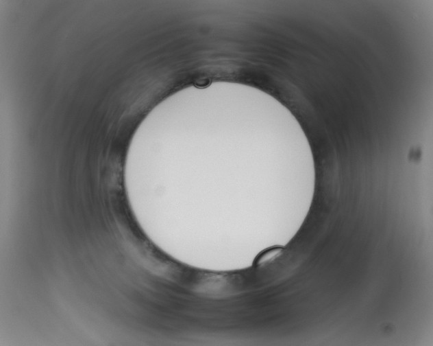 X0000112730083200909171137