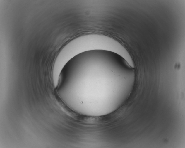 X0000112730084200909171137